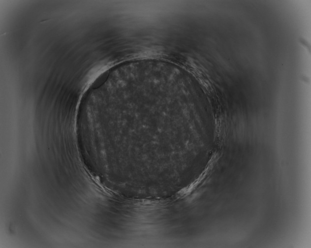 X0000091930196200709191406