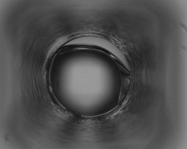 X0000091930197200709191406