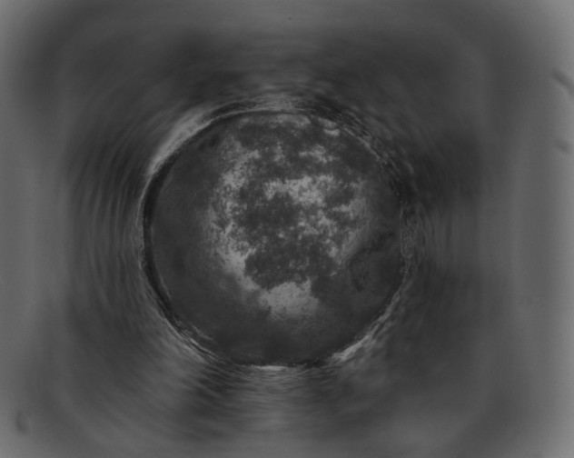 X0000091930198200709191406