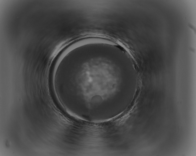 X0000091930199200709191406