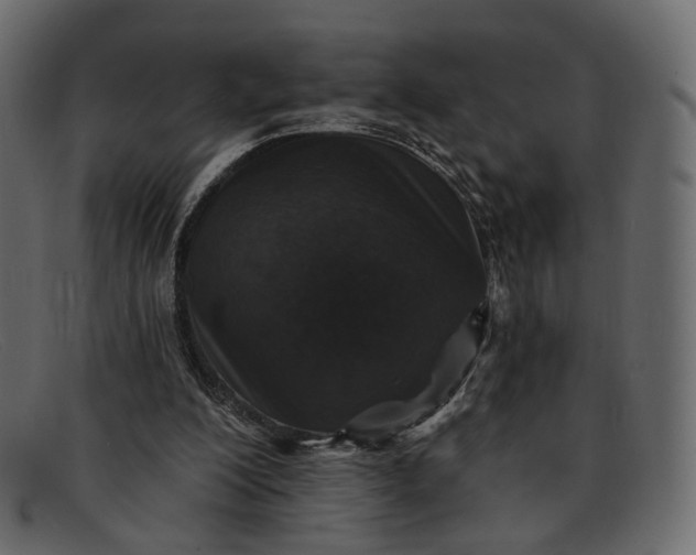 X0000091930200200709191406