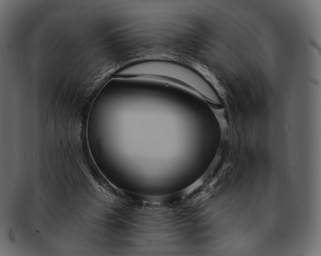 X0000091930201200709191406