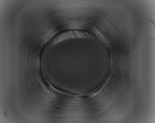 X0000091930202200709191406