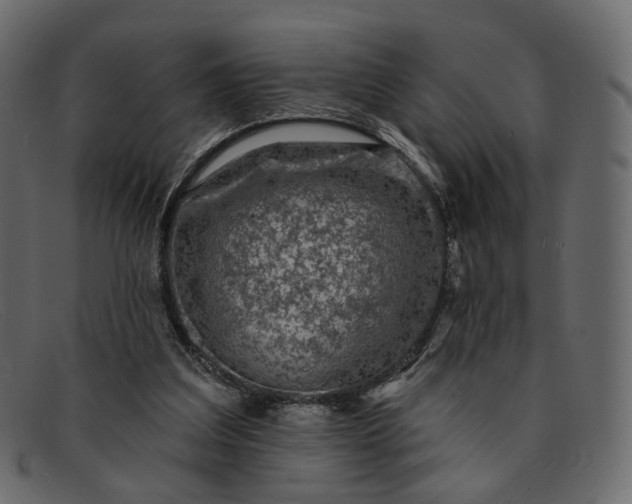 X0000091930203200709191406