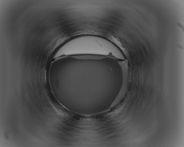 X0000091930205200709191406