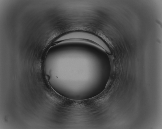 X0000091930207200709191406
