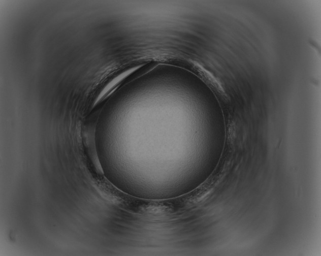 X0000091930209200709191406