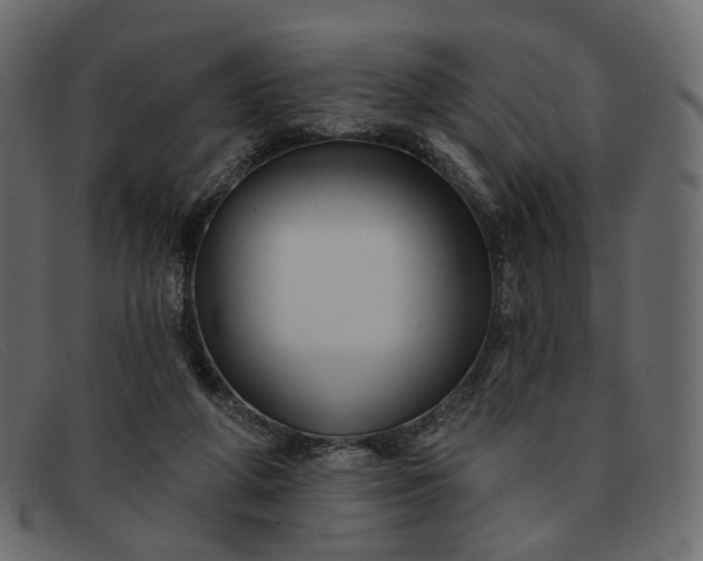 X0000091930210200709191406