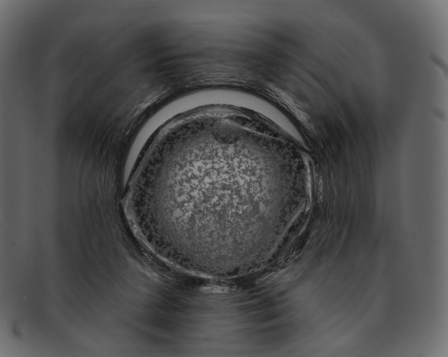 X0000091930211200709191406