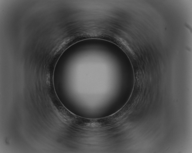 X0000091930212200709191406