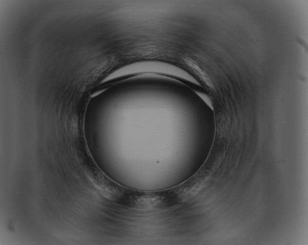 X0000091930213200709191406