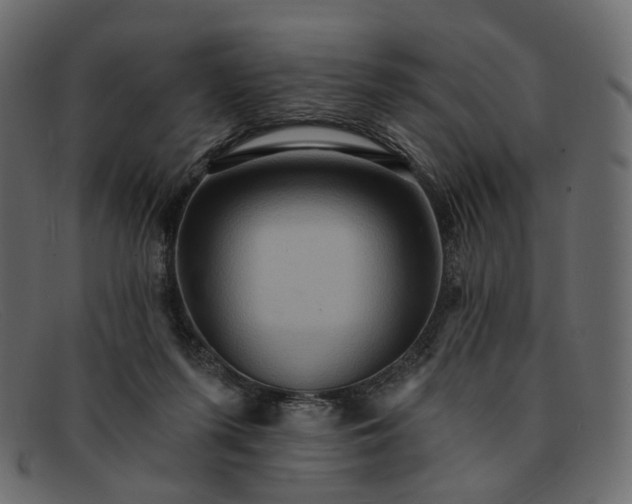 X0000091930215200709191406
