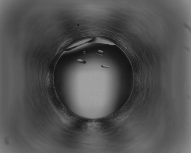 X0000091930216200709191406