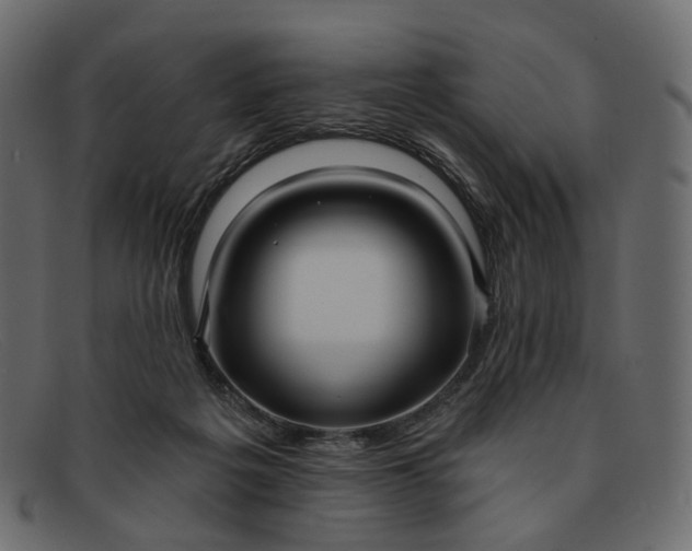 X0000091930217200709191406