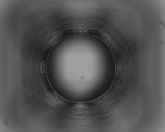 X0000091930218200709191406
