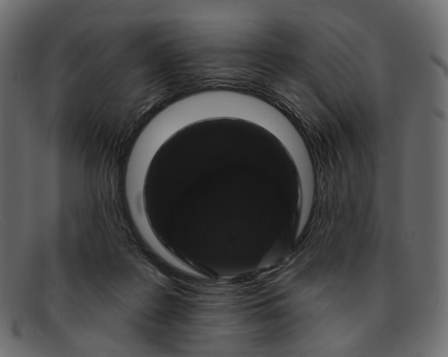 X0000091930219200709191406