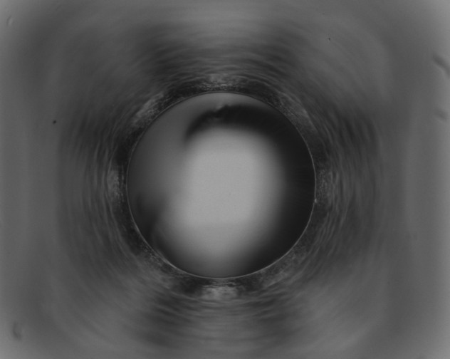 X0000091930220200709191406