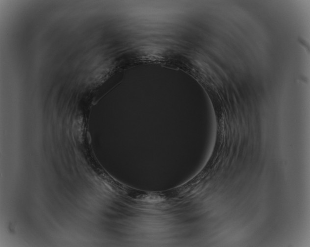 X0000091930223200709191406