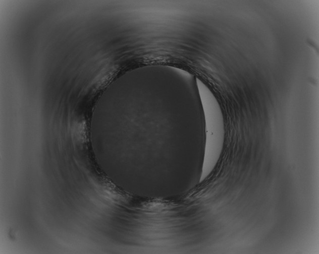 X0000091930224200709191406