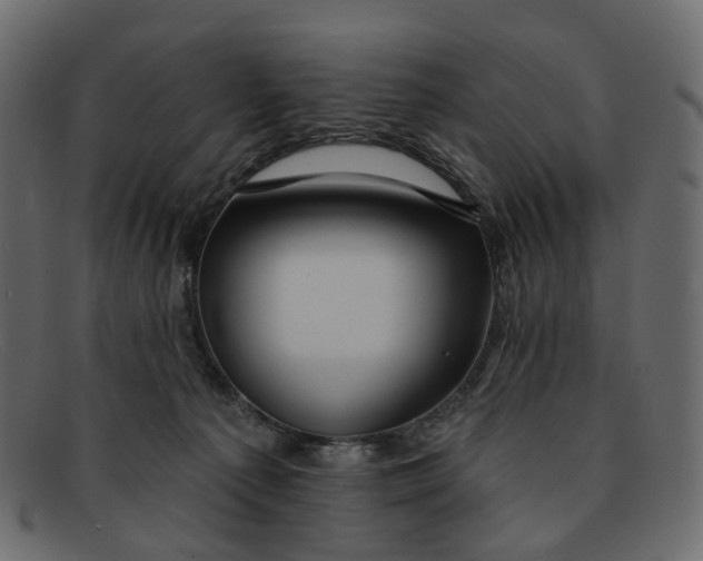 X0000091930225200709191406