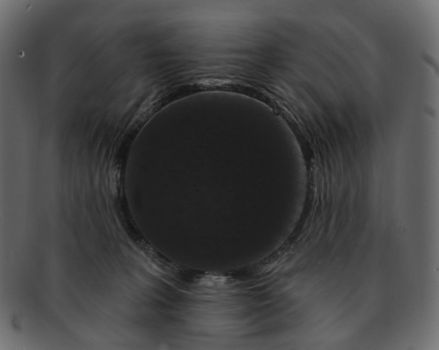 X0000091930227200709191406