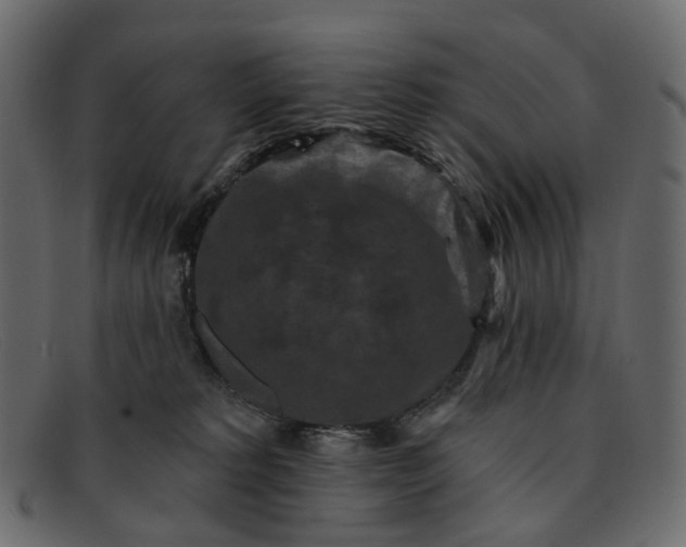 X0000091930229200709191406