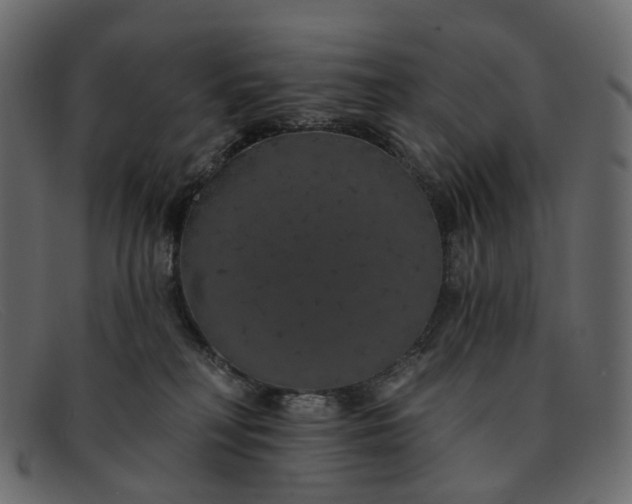 X0000091930230200709191406
