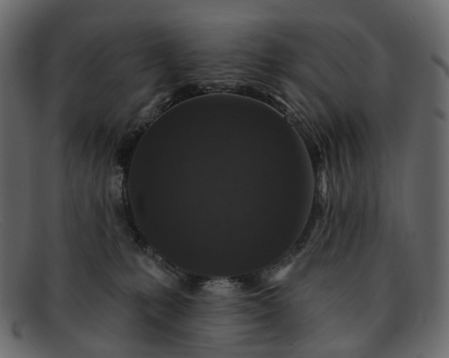 X0000091930231200709191406