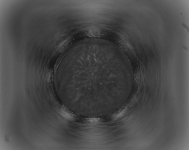 X0000091930233200709191406