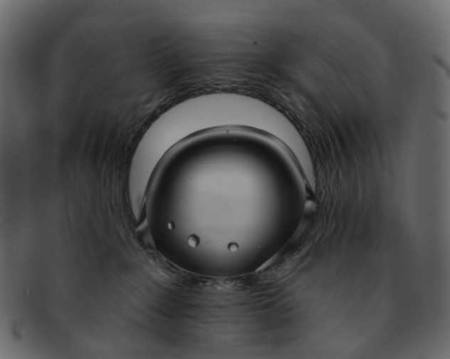 X0000091930235200709191406