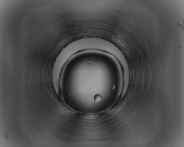 X0000091930237200709191406