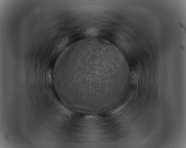 X0000091930238200709191406