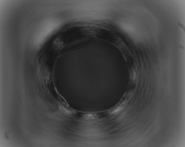 X0000091930239200709191406