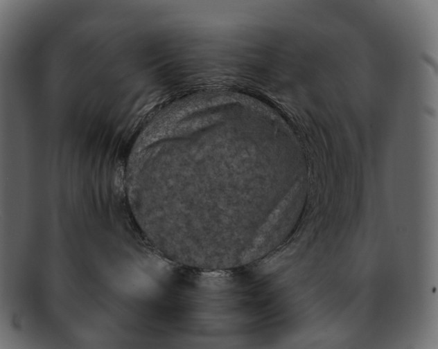 X0000091930240200709191406