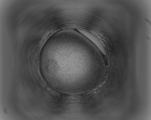 X0000091930241200709191405