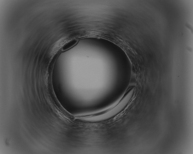 X0000091930242200709191405