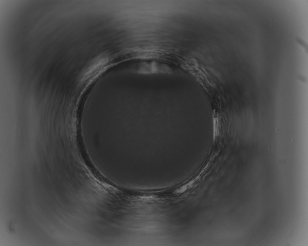 X0000091930243200709191405