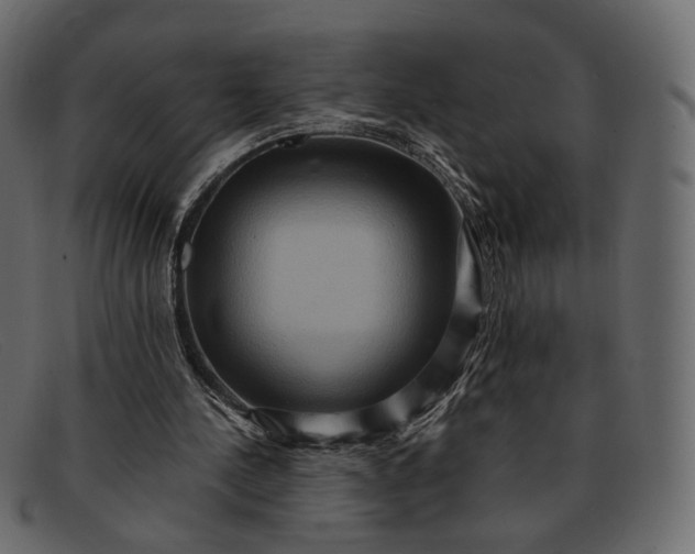 X0000091930244200709191405