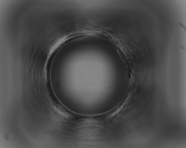 X0000091930246200709191405
