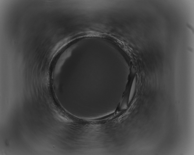 X0000091930247200709191405