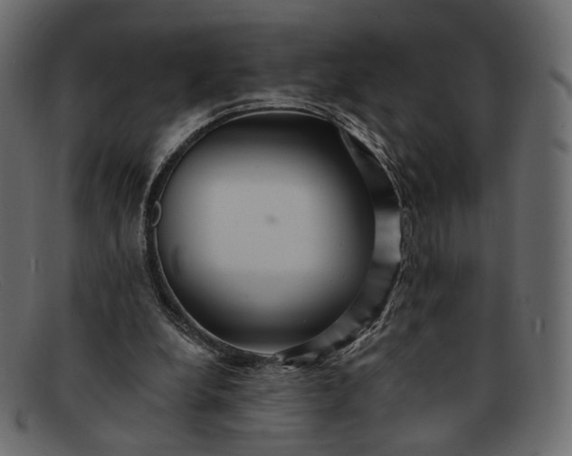 X0000091930248200709191405