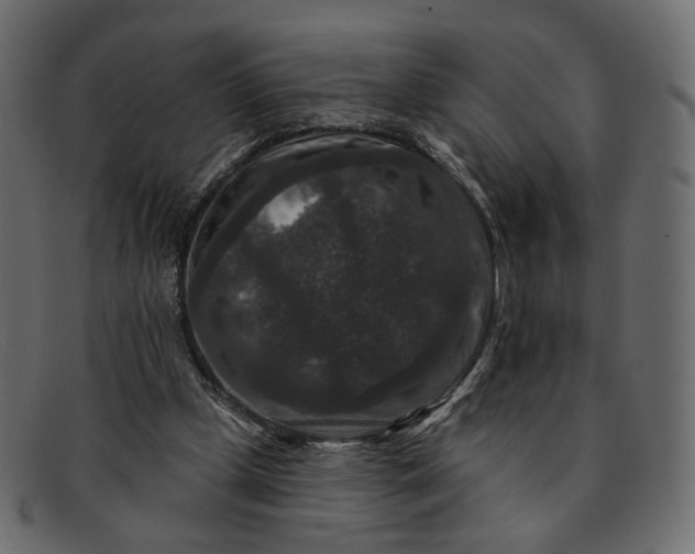 X0000091930249200709191405