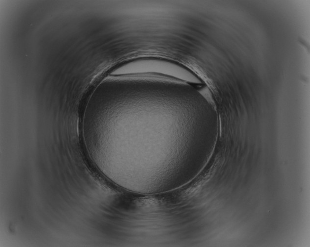 X0000091930253200709191405