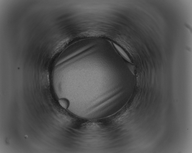X0000091930254200709191405