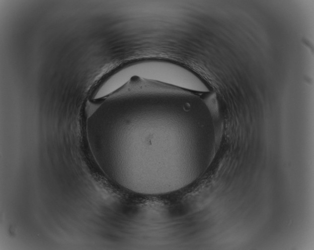X0000091930256200709191406