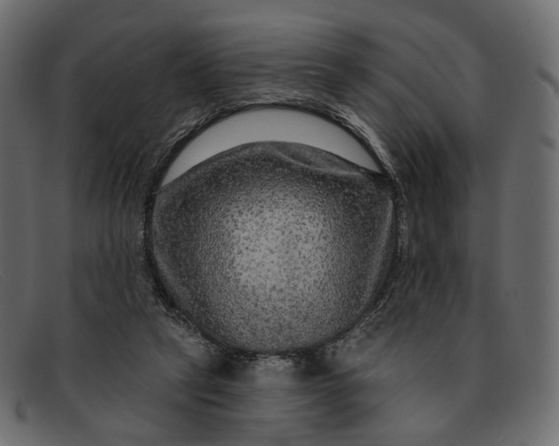 X0000091930257200709191406