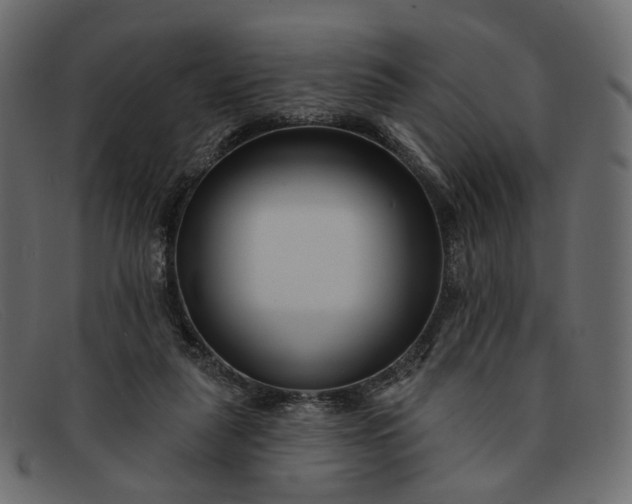 X0000091930259200709191406