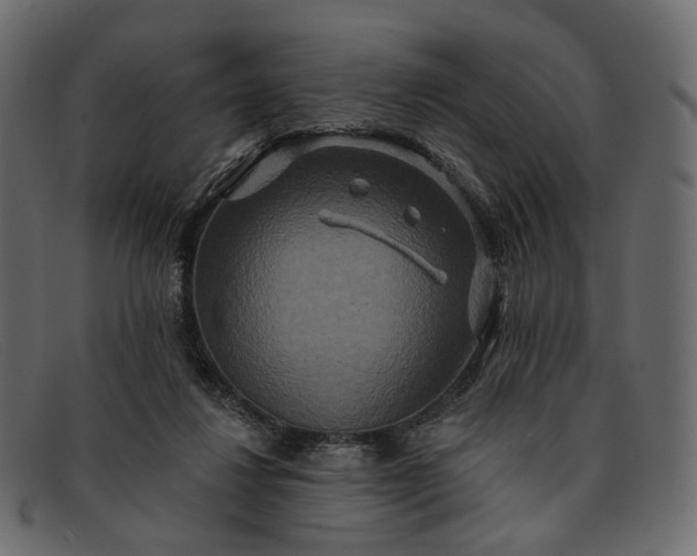 X0000091930260200709191406