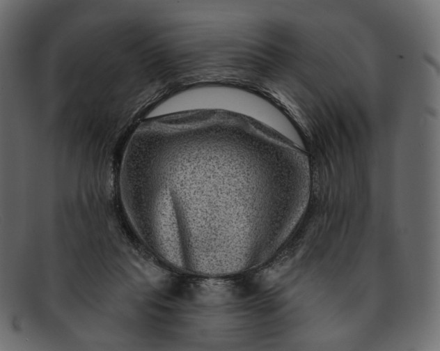 X0000091930261200709191406