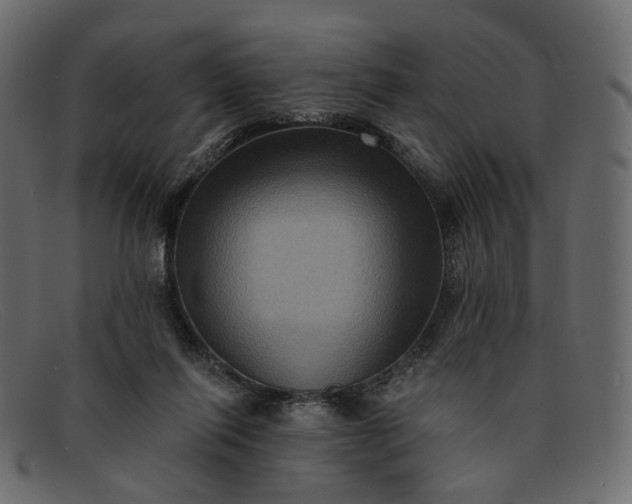 X0000091930262200709191406